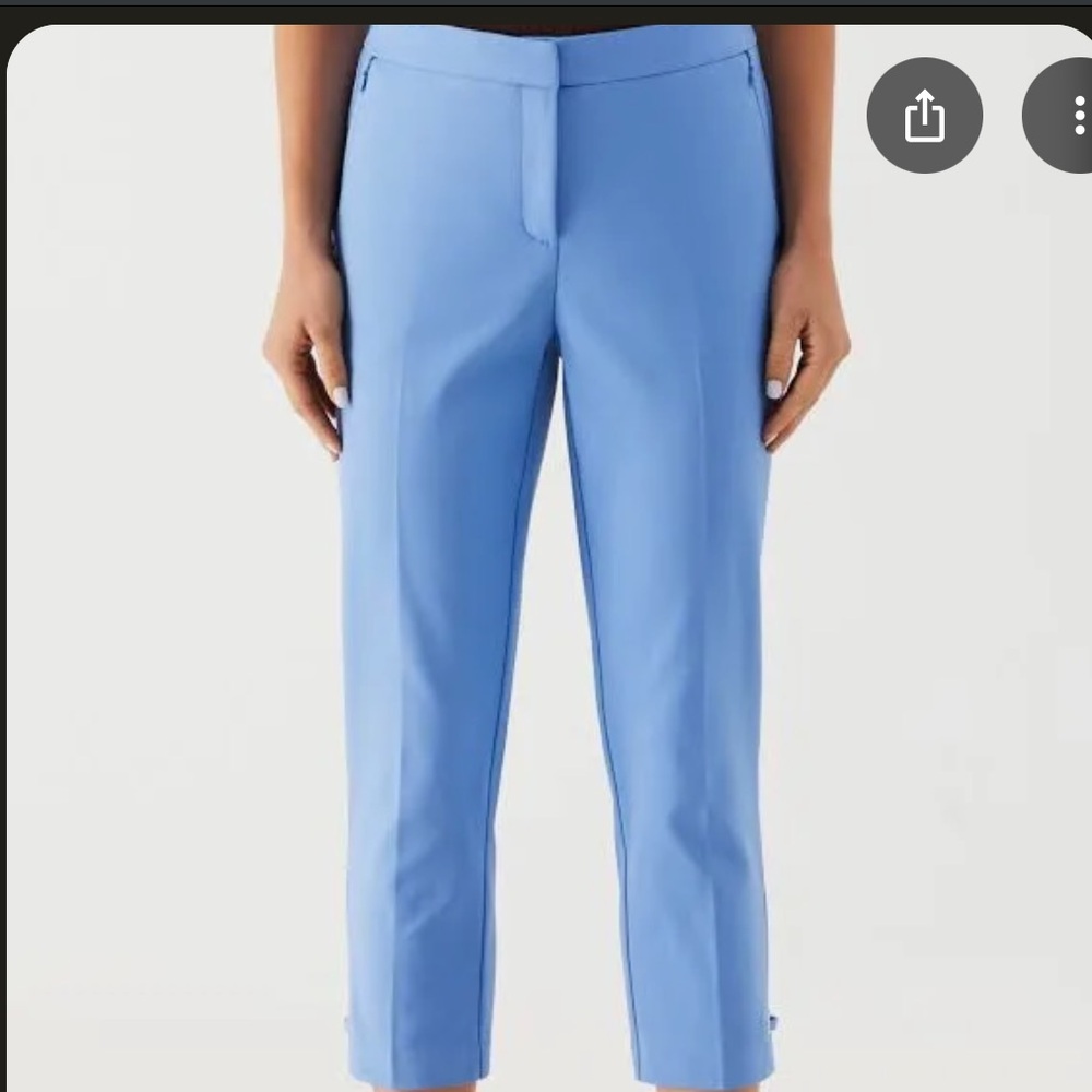 Express Columnist Capri Pants